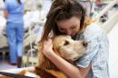 Pet_Therapy