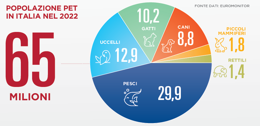 Popolazione pet in Italia: 65 milioni di animali da compagnia