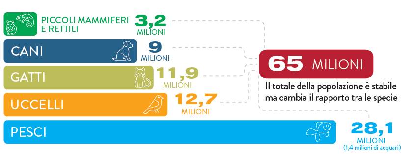 Popolazione pet in Italia: Piccoli mammiferi e rettili 3,2 milioni. Cani 9 milioni. Gatti 11,9 milioni. Uccelli 12,7 milioni. Pesci 28,1 milioni equivalenti a 1,4 milioni di acquari. Totale 65 milioni, stabile rispetto al 2023 ma cambia il rapporto tra le specie